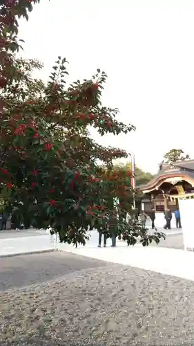 田縣神社の自然
