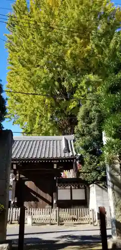 宝珠院(千葉県)
