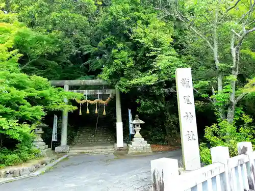 龍尾神社の鳥居