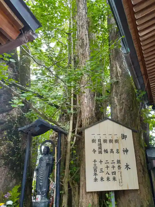 高塚愛宕地蔵尊(大分県)