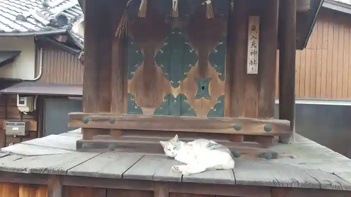 竹鼻八剱神社(八剣神社)の動物