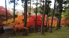 龍興山神社の自然