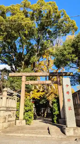 今井神社の鳥居