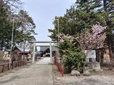 上富良野神社(北海道)