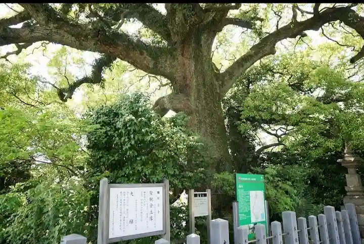 観音寺の自然