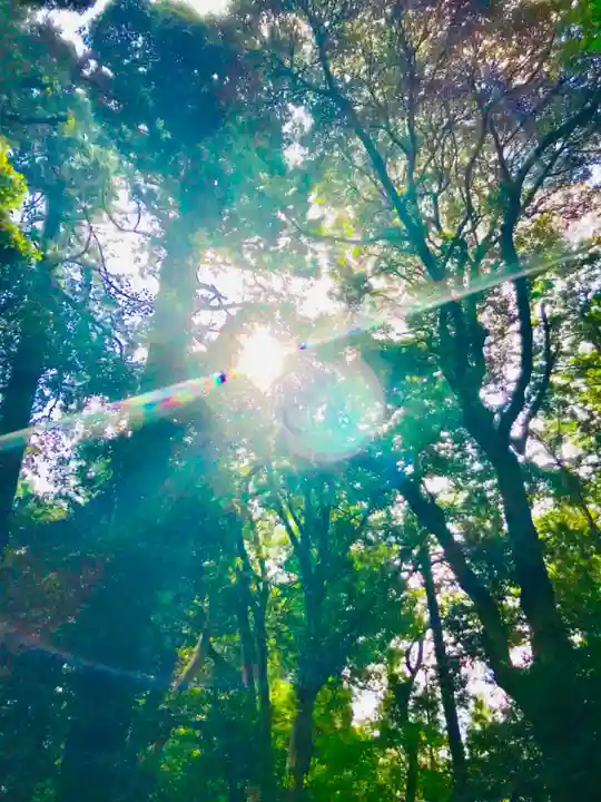 麻賀多神社の自然