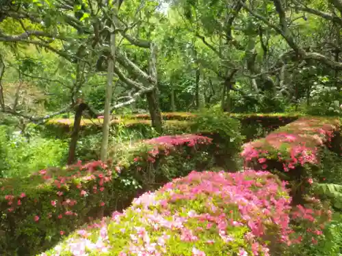 瑞泉寺の庭園