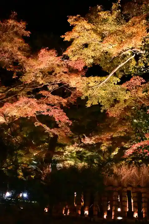 宝厳院(京都府)
