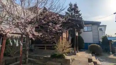 白山神社の{uncategorized: "未分類", other: "その他", undefined: "問題あり", building: "その他建物", grave: "お墓", sacred_gate: "鳥居", guardian: "狛犬", statue: "像", buddha: "仏像", history: "歴史", nature: "自然", garden: "庭園", animal: "動物", pagoda: "塔", temizu: "手水舎", mountain_gate: "山門・神門", sanctuary: "本殿・本堂", subordinate: "末社・摂社", art: "芸術", scenery: "景色", jizo: "地蔵", ema: "絵馬", goshuin: "御朱印", omikuji: "おみくじ", items: "授与品その他", amulet: "お守り", goshuincho: "御朱印帳", eats: "食事", festival: "お祭り", votive_dance: "神楽", shichigosan: "七五三参", wedding: "結婚式", experience: "体験その他", initially: "初詣", around: "周辺", anti_infection: "感染症対策"}