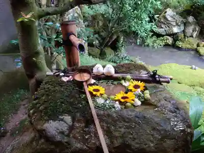 柳谷観音　楊谷寺(京都府)