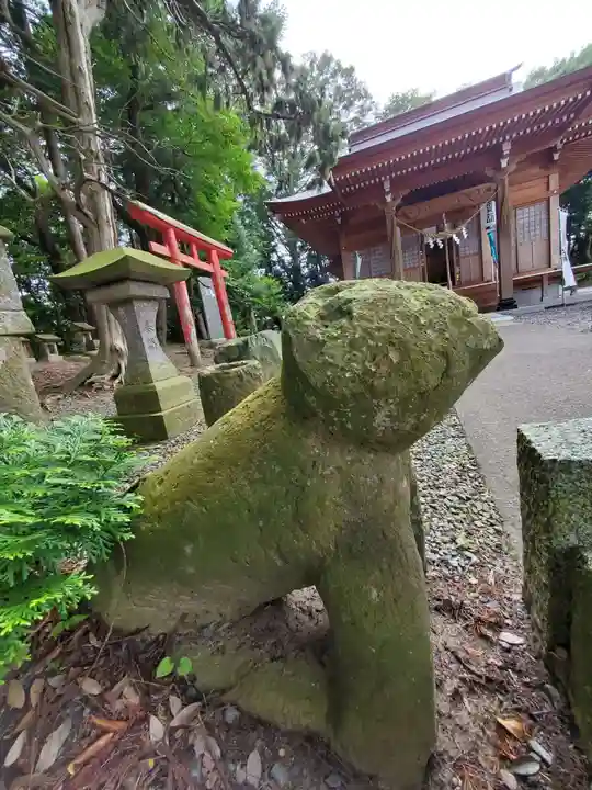 阿久津「田村神社」(郡山市阿久津町)旧社名:伊豆箱根三嶋三社の狛犬