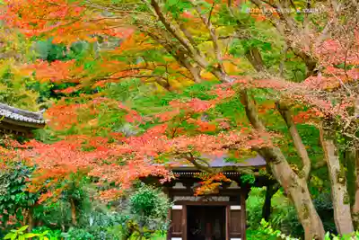 円覚寺(神奈川県)