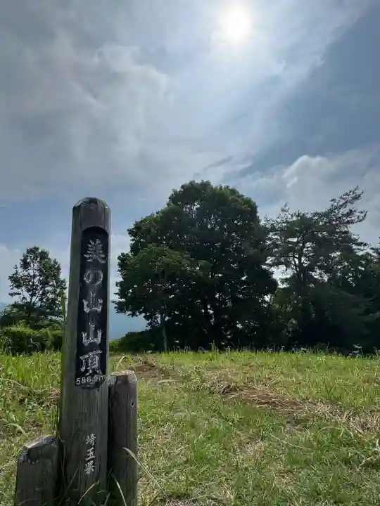 皆野椋神社(埼玉県)