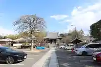 妙蓮寺(神奈川県)