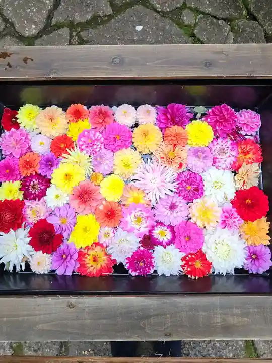 上野東照宮(東京都)