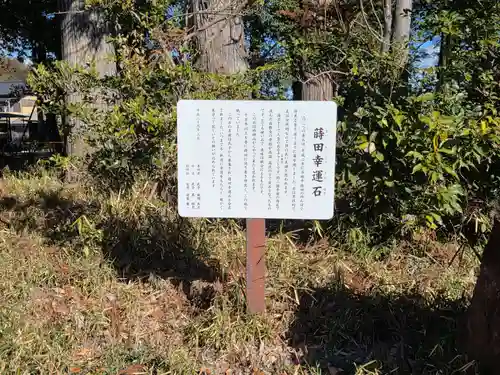 中蒔田椋神社(埼玉県)