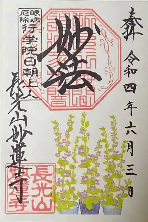 6月御朱印
キキョウソウ