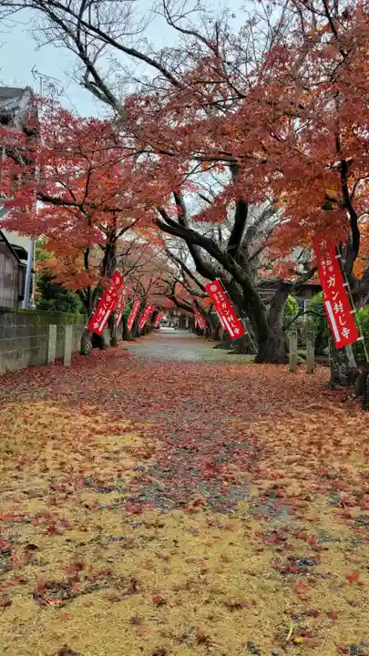 無量寺(愛知県)