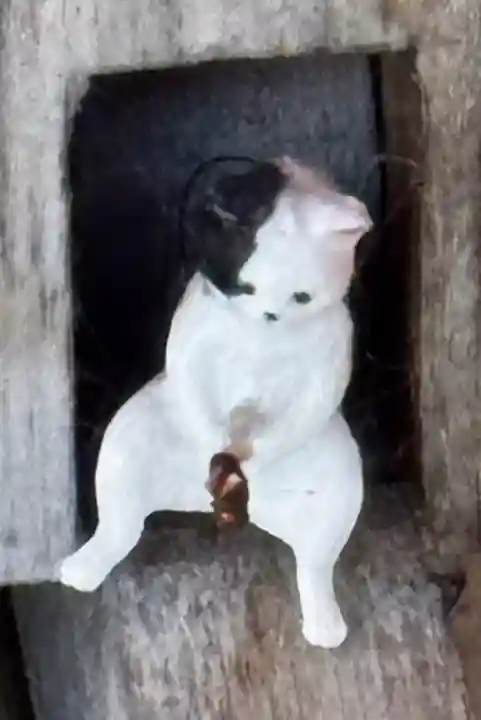 仙台八坂神社の{uncategorized: "未分類", other: "その他", undefined: "問題あり", building: "その他建物", grave: "お墓", sacred_gate: "鳥居", guardian: "狛犬", statue: "像", buddha: "仏像", history: "歴史", nature: "自然", garden: "庭園", animal: "動物", pagoda: "塔", temizu: "手水舎", mountain_gate: "山門・神門", sanctuary: "本殿・本堂", subordinate: "末社・摂社", art: "芸術", scenery: "景色", jizo: "地蔵", ema: "絵馬", goshuin: "御朱印", omikuji: "おみくじ", items: "授与品その他", amulet: "お守り", goshuincho: "御朱印帳", eats: "食事", festival: "お祭り", votive_dance: "神楽", shichigosan: "七五三参", wedding: "結婚式", experience: "体験その他", initially: "初詣", around: "周辺", anti_infection: "感染症対策"}