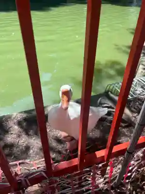 生島足島神社(長野県)