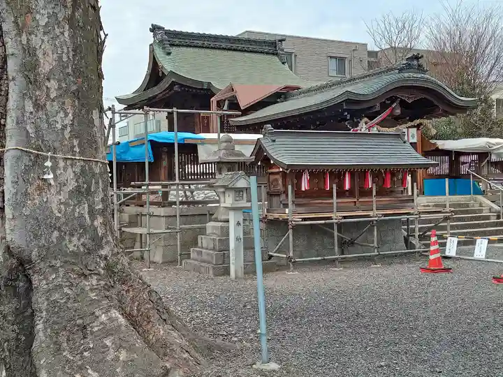 篠津神社(滋賀県)