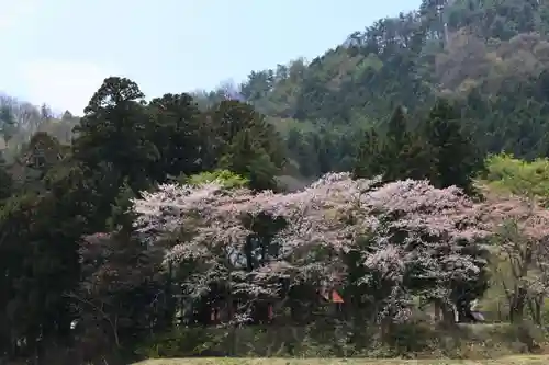 高司神社〜むすびの神の鎮まる社〜の景色