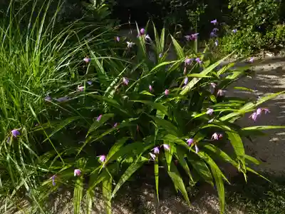 備中国總社(岡山県)
