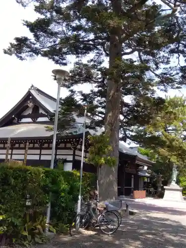 安養寺の本殿・本堂