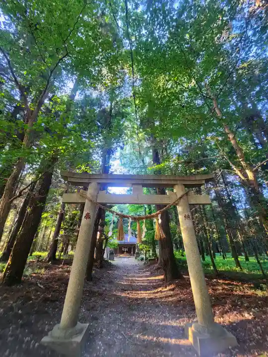 柏田神社の{uncategorized: "未分類", other: "その他", undefined: "問題あり", building: "その他建物", grave: "お墓", sacred_gate: "鳥居", guardian: "狛犬", statue: "像", buddha: "仏像", history: "歴史", nature: "自然", garden: "庭園", animal: "動物", pagoda: "塔", temizu: "手水舎", mountain_gate: "山門・神門", sanctuary: "本殿・本堂", subordinate: "末社・摂社", art: "芸術", scenery: "景色", jizo: "地蔵", ema: "絵馬", goshuin: "御朱印", omikuji: "おみくじ", items: "授与品その他", amulet: "お守り", goshuincho: "御朱印帳", eats: "食事", festival: "お祭り", votive_dance: "神楽", shichigosan: "七五三参", wedding: "結婚式", experience: "体験その他", initially: "初詣", around: "周辺", anti_infection: "感染症対策"}