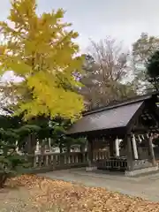 江南神社(北海道)