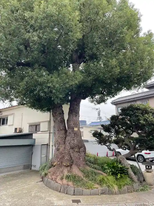 観音寺(東京都)