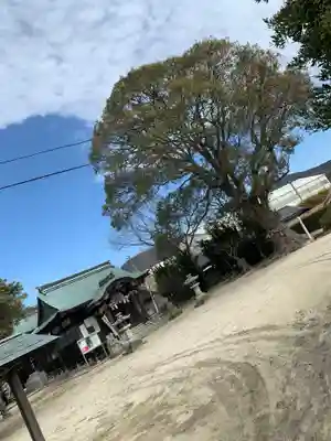 江泊神社の自然