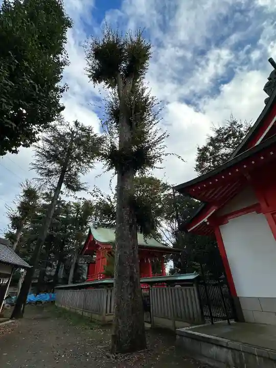 小野神社(東京都)