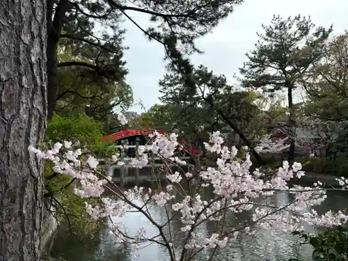 住吉大社の自然