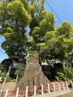 五所神社の{uncategorized: "未分類", other: "その他", undefined: "問題あり", building: "その他建物", grave: "お墓", sacred_gate: "鳥居", guardian: "狛犬", statue: "像", buddha: "仏像", history: "歴史", nature: "自然", garden: "庭園", animal: "動物", pagoda: "塔", temizu: "手水舎", mountain_gate: "山門・神門", sanctuary: "本殿・本堂", subordinate: "末社・摂社", art: "芸術", scenery: "景色", jizo: "地蔵", ema: "絵馬", goshuin: "御朱印", omikuji: "おみくじ", items: "授与品その他", amulet: "お守り", goshuincho: "御朱印帳", eats: "食事", festival: "お祭り", votive_dance: "神楽", shichigosan: "七五三参", wedding: "結婚式", experience: "体験その他", initially: "初詣", around: "周辺", anti_infection: "感染症対策"}