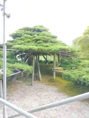 善峯寺(京都府)