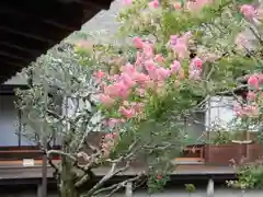 大覚寺(京都府)