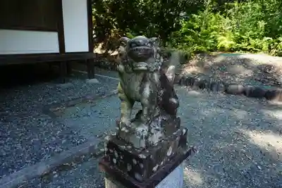 奥泉大井神社の狛犬