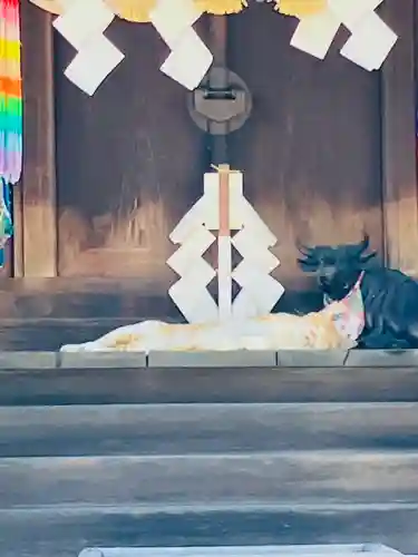 五泉八幡宮の動物