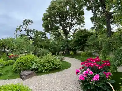 東寺（教王護国寺）(京都府)