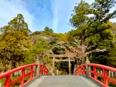 伊太祁曽神社の建物その他