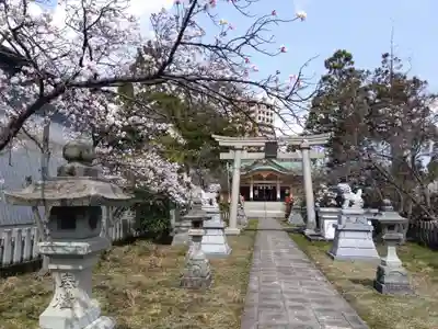櫻谷神社(福井県)