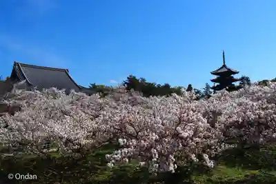 仁和寺(京都府)
