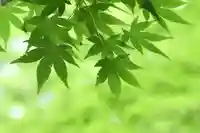 土津神社|こどもと出世の神さまの自然