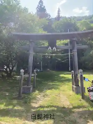白鬚神社(長野県)