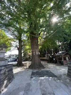 春日部八幡神社(埼玉県)