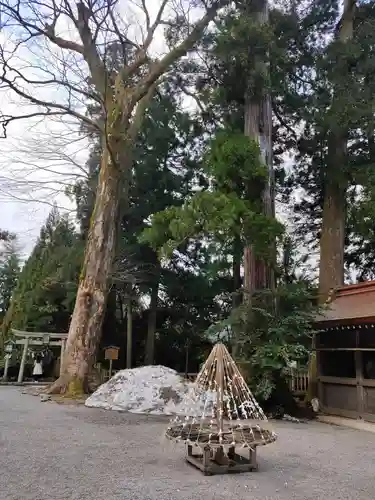 白山比咩神社の建物その他