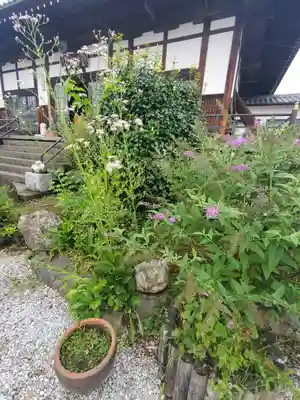 多宝寺(埼玉県)