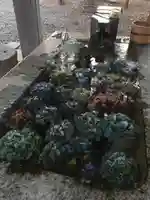 栗沢神社の手水舎