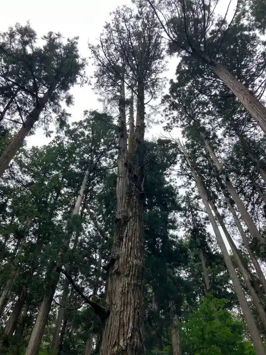 平泉寺白山神社(福井県)
